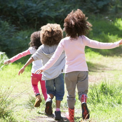 Evergreen Public School